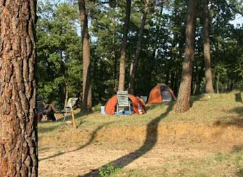 Stellplatz - Forfait Cycliste / Motard - Camping La Pinède en Provence