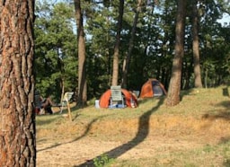 Kampeerplaats(en) - Forfait Cycliste / Motard - Camping La Pinède en Provence