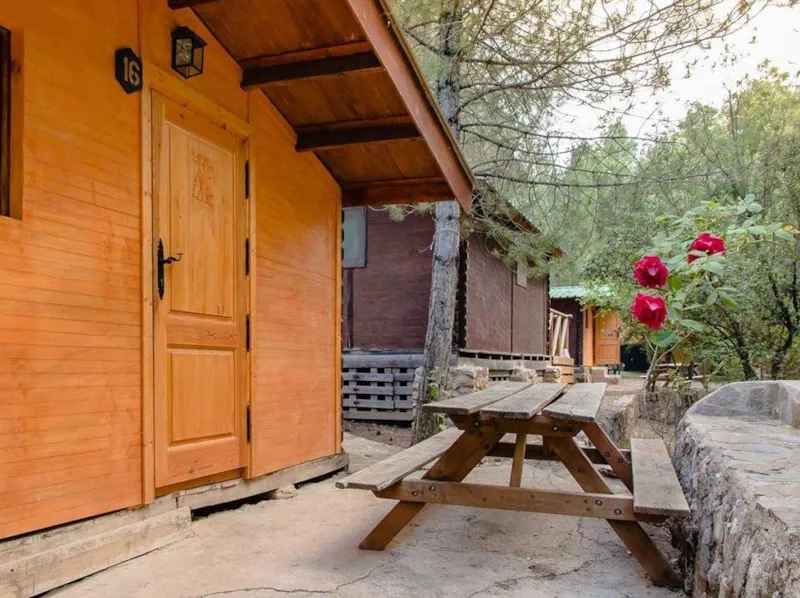 Cabane En Bois (Petite)