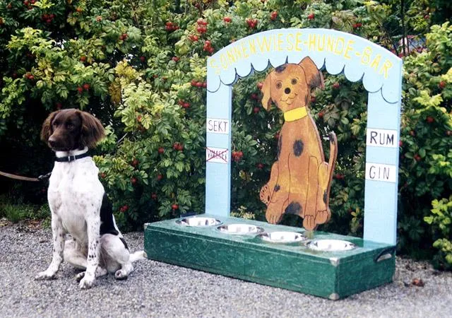 Campingplatz Sonnenwiese - image n°12 - UniversalBooking