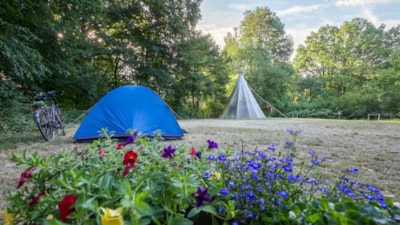 Pitch for tents (car free) — 2