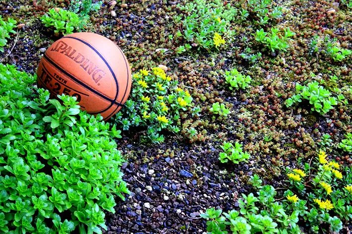 Uhlenköper-Camp Uelzen - image n°17 - UniversalBooking