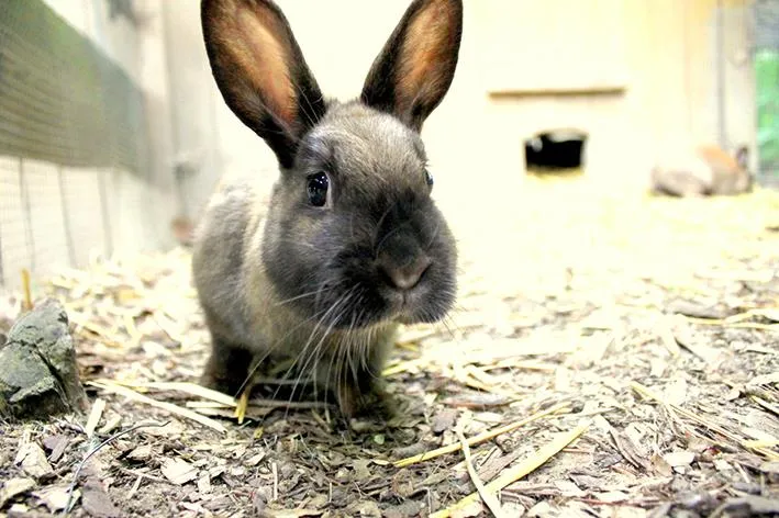 Uhlenköper-Camp Uelzen - image n°25 - UniversalBooking