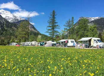 Stellplatz - Stellplatz Xxl (Ca. 180 M²) - Grubhof Camping