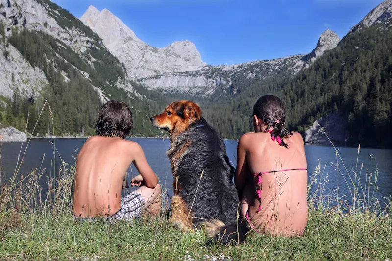 Emplacement Xxl Les Chiens Sont Bienvenus (Env. 180 M²)