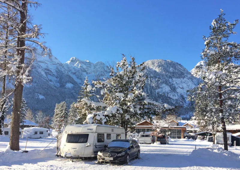 Emplacement Xxl Les Chiens Sont Bienvenus (Env. 180 M²)