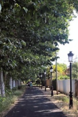 Foto #48 van Camping les Berges du Canal