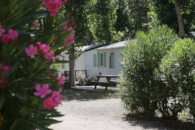 Camping les Berges du Canal