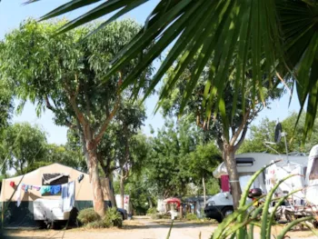 Stellplatz - Grosser Platz, 2 Personnes, Voiture Et Électricité Incluses - Camping Bella Vista
