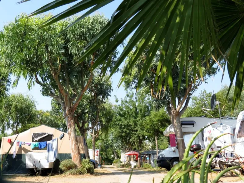 Emplacement Grande, 2 Personnes, Voiture Et Électricité Incluses