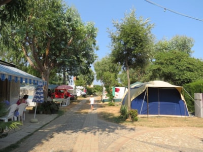 Normal pitch, incl. 2 people, car and electricity — 1