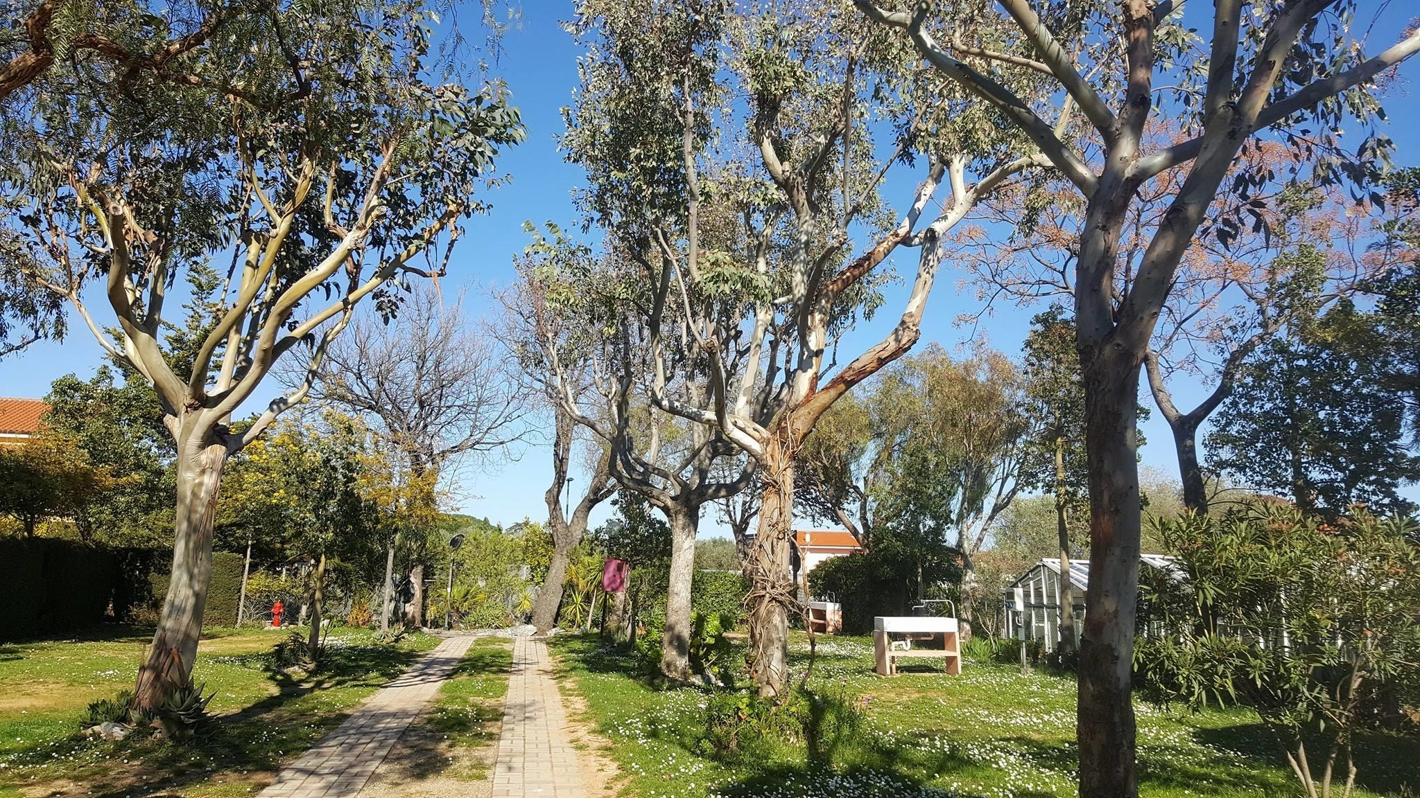 Camping Bella Vista — Photo 2