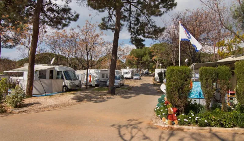 Emplacement (Camping-Car + Electricité)