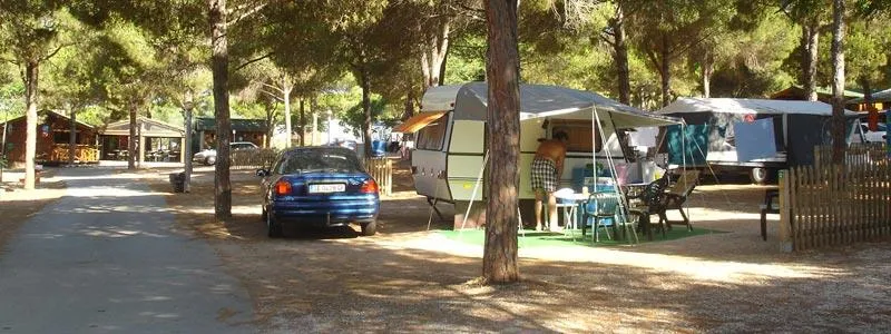 Emplacement (Voiture + Tente Ou Caravane + Électricité)