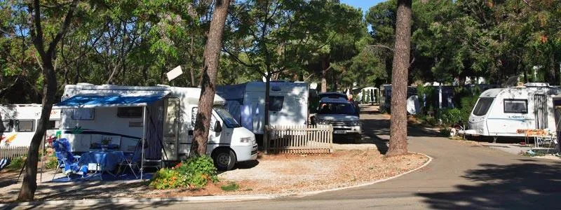 Emplacement (Voiture + Tente Ou Caravane + Électricité)