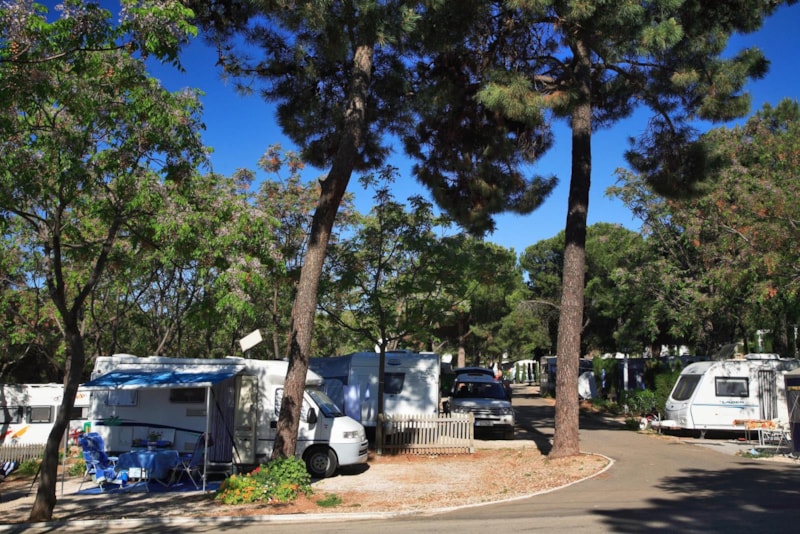 Camping Cabopino photo 4