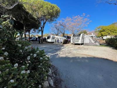 Camping Cabopino