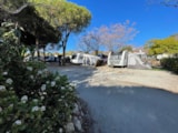Foto #5 van Camping Cabopino