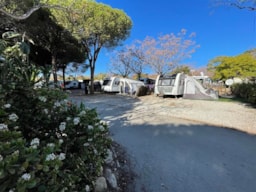 Camping Cabopino - image n°5 - Roulottes