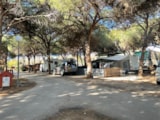 Foto #8 van Camping Cabopino