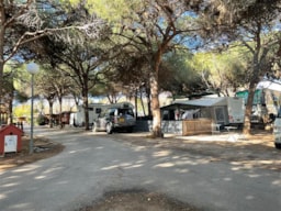 Camping Cabopino - image n°8 - Roulottes