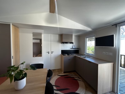 MODEL MEDITERRANEO — 7