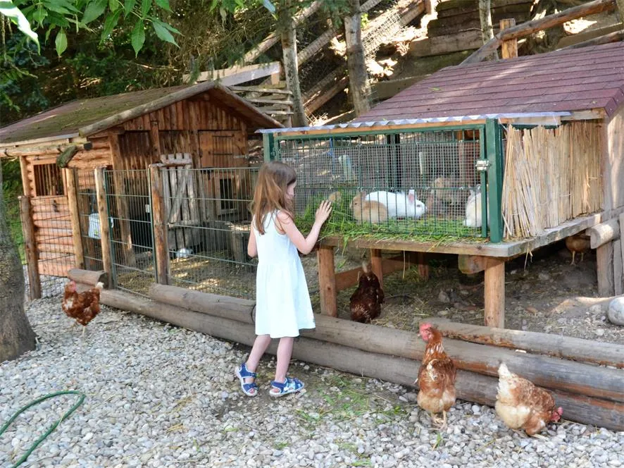 Aktiv Camp Purgstall Camping- & Ferienpark