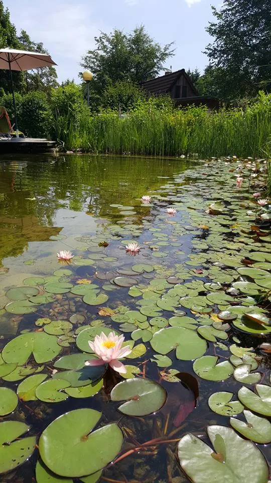 Aktiv Camp Purgstall Camping- & Ferienpark