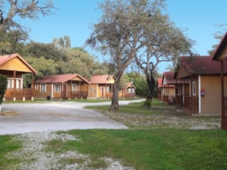 Camping La Buganvilla - image n°9 - 