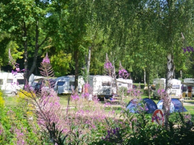 Pitch (caravan/tent/car)