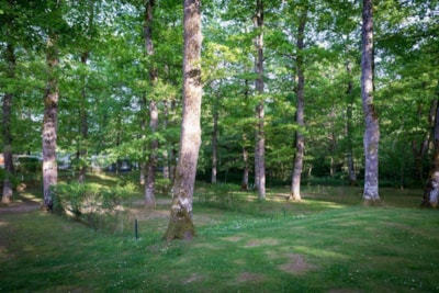 Pitch Larri — 3