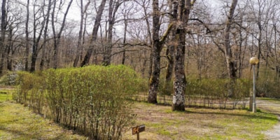 Pitch Larri — 6