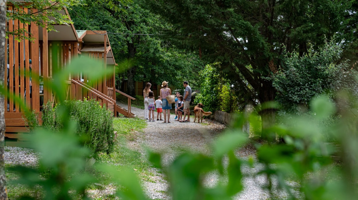Camping Etxarri