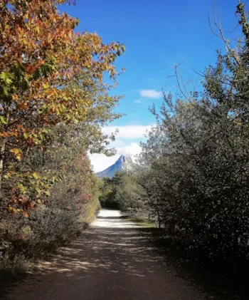 Camping Etxarri - image n°2 - Camping Direct