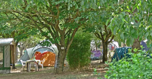 Emplacement - Emplacement Camping - image n°2 - Camping Les Cigales
