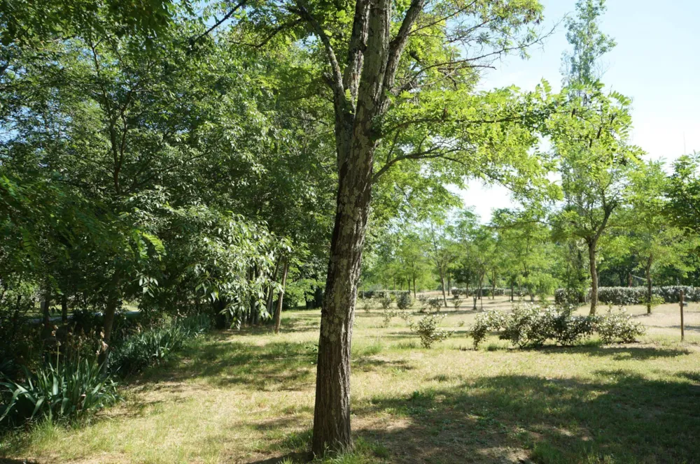 CAMPING DE L'ARCHE - image n°4 - Ardeche