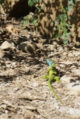 Foto #6 van Camping De L’arche