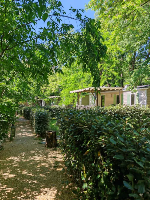 Accommodation - Comfortable Mobile Home - image n°1 - CAMPING DE L'ARCHE