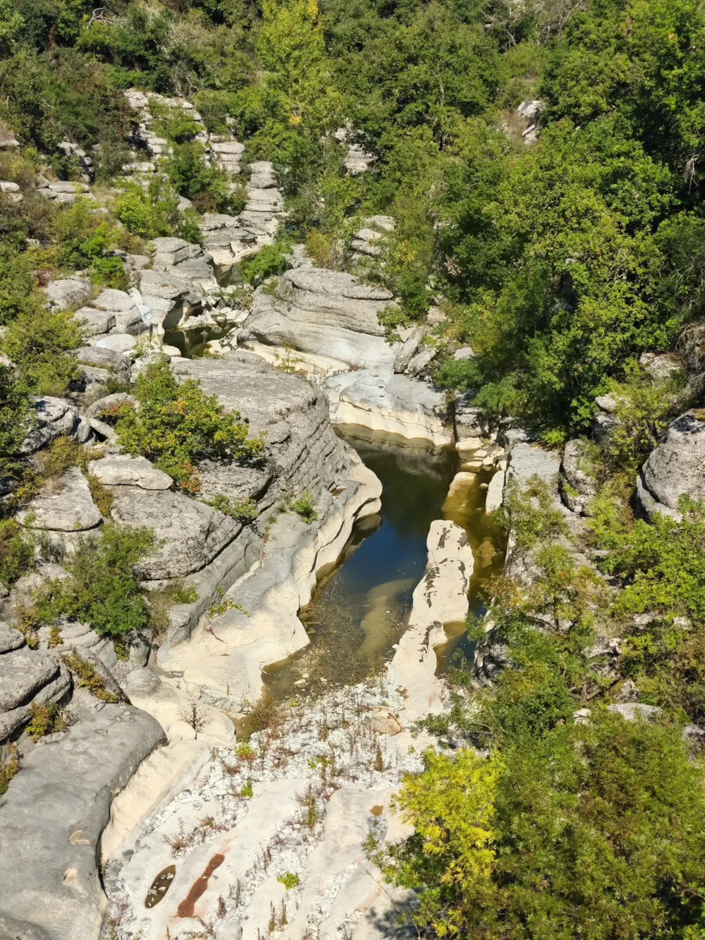 CAMPING DE L'ARCHE - image n°34 - RhoneAlpes