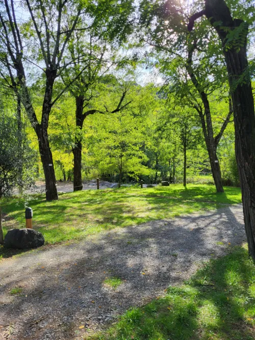 Kampeerplaats(en) - Kampeerplaats Met Rivierzicht (Nr. 68 T/M 72) - image n°2 - Camping la Charderie