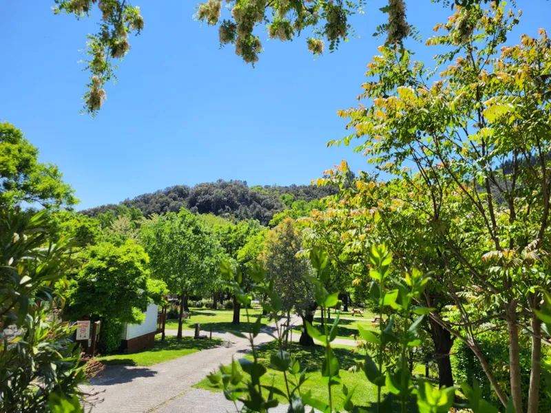 Mobil-Home Irm Mercure 22M²