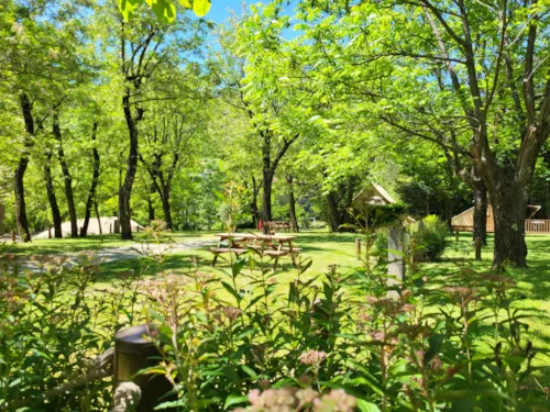 Accommodation - Lodge Evolutive 20M² (Without Sanitary Facilities) - image n°6 - Camping la Charderie