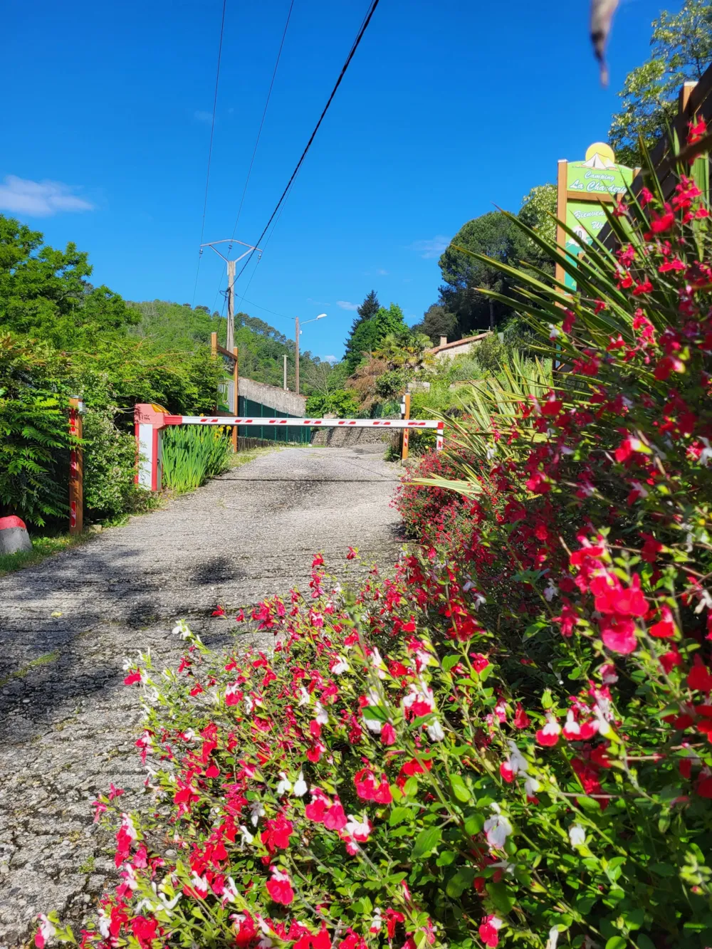 Camping la Charderie - image n°4 - Ardeche