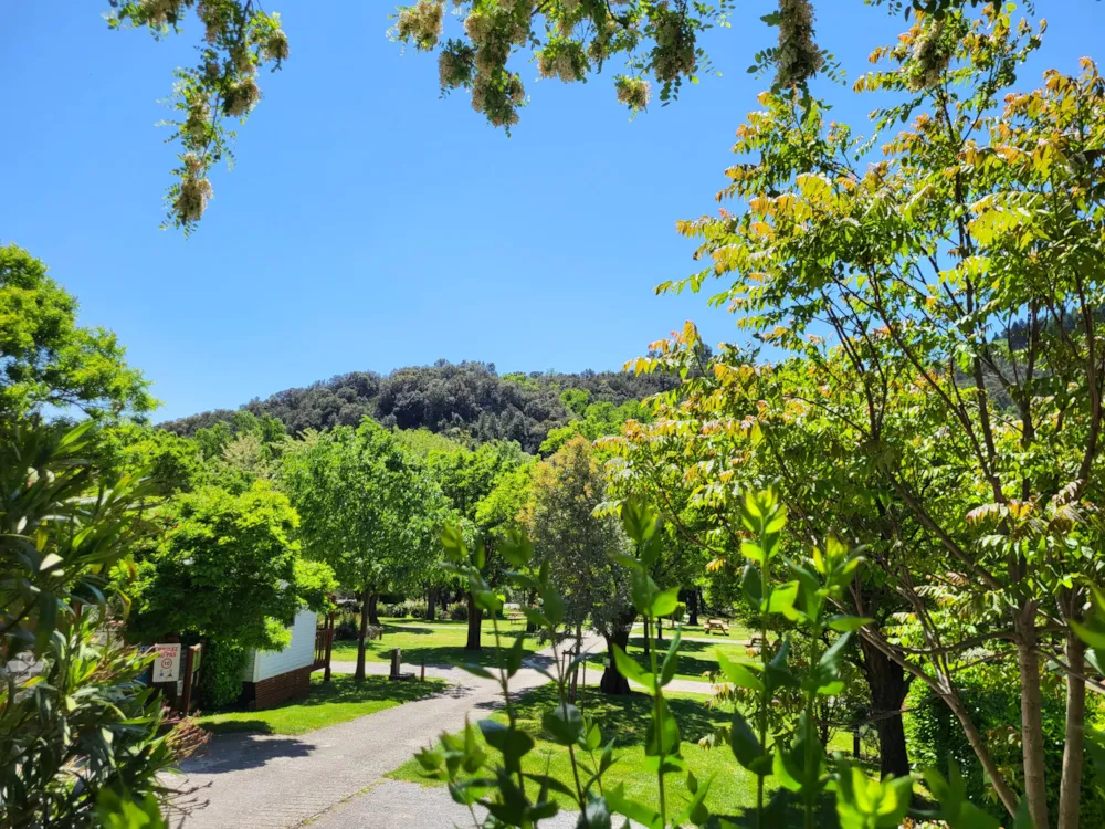 Camping la Charderie - image n°5 - Ardeche