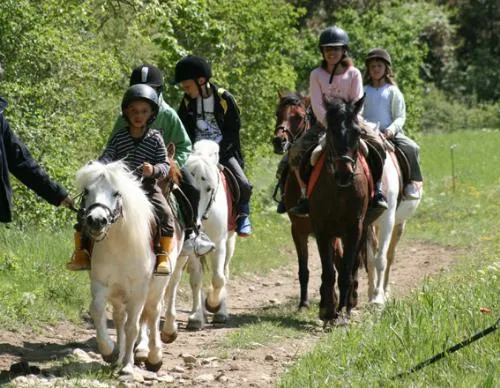 CAMPING LES CHATAIGNIERS