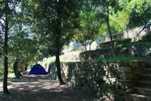 Emplacement - Stellplatz - CAMPING LES CHATAIGNIERS