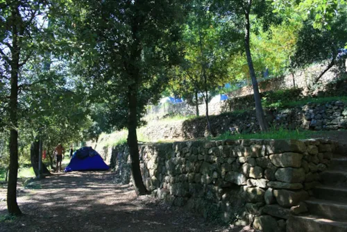 Stellplatz - Stellplatz - image n°1 - CAMPING LES CHATAIGNIERS