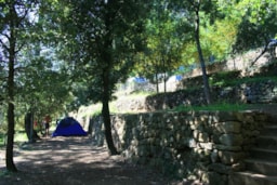 Pitch - Pitch - CAMPING LES CHATAIGNIERS