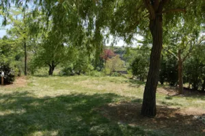 Emplacement - Premium pitch for tent/caravan/camper 2/7 pers. + 10 A - Camping Les Arches