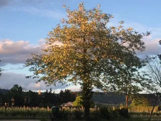 Gîte Rural : 'Le Gîte De Josette'